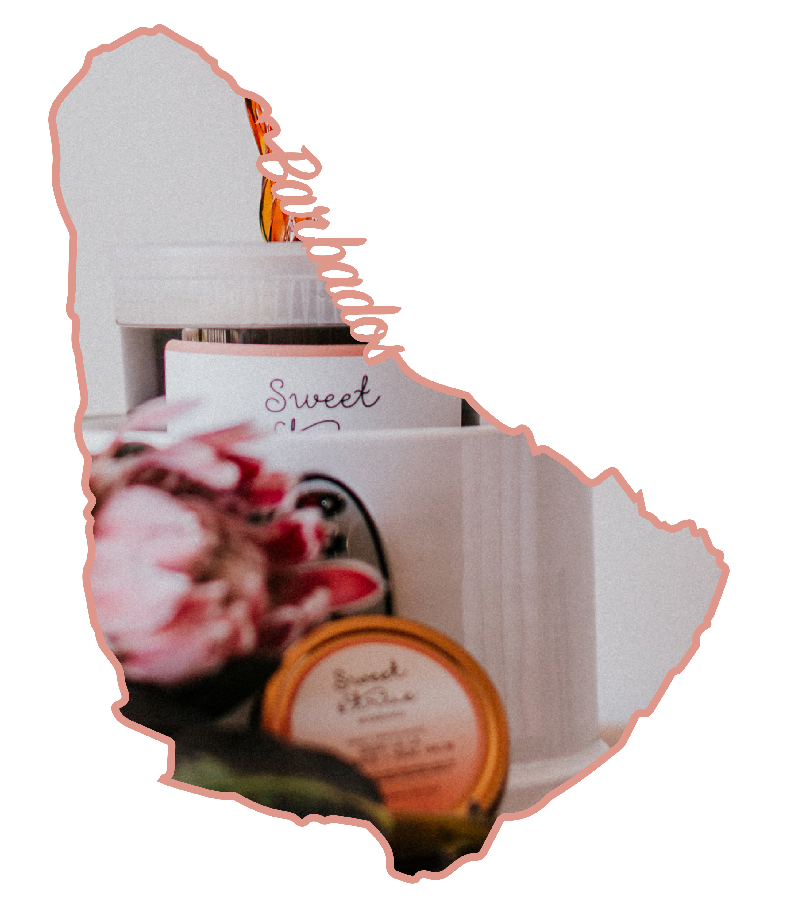 Barbados, Caribbean - Sugaring Certificate Courses