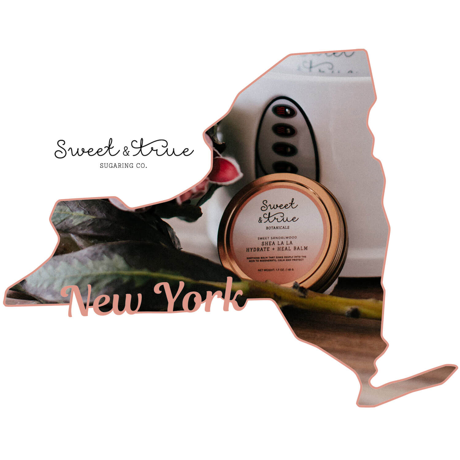 New York, New York - Sugaring Certificate Courses